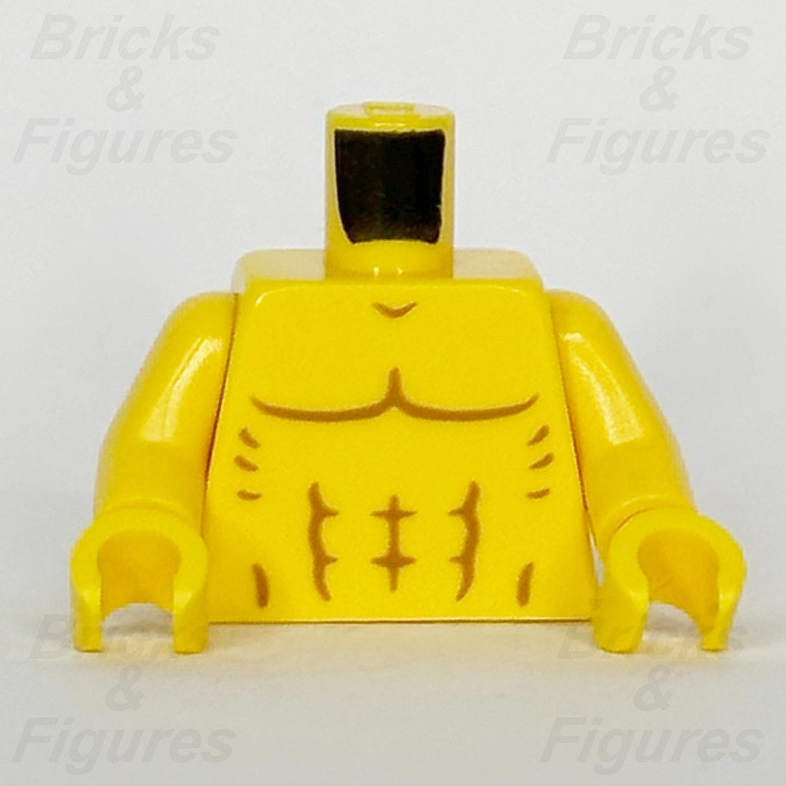 LEGO Bare Chest with Muscles Minifigure Torso Part 973pb5732c01 BAM 2024 Body0