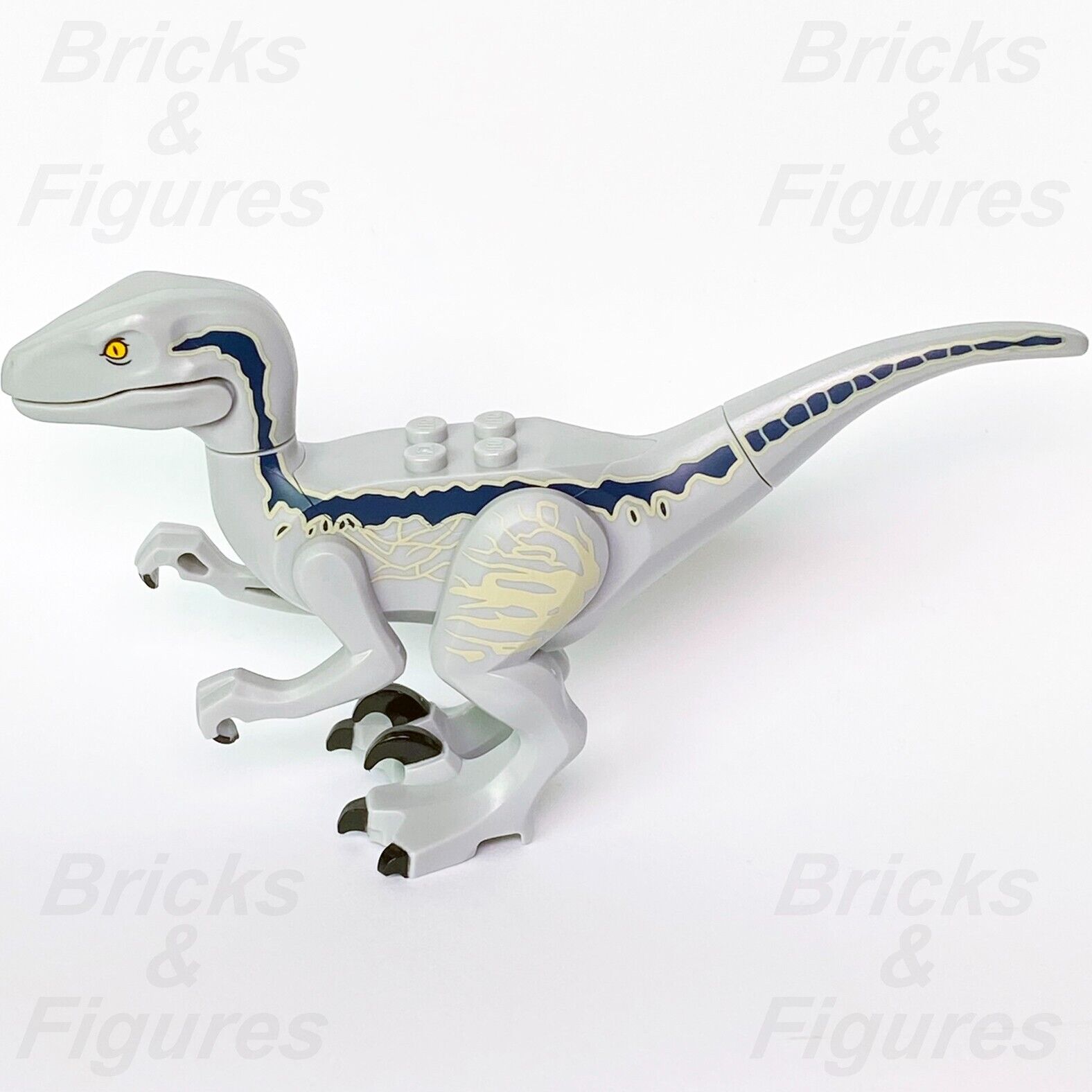 Jurassic World LEGO Raptor Blue Dinosaur Minifigure Part 76946 Raptor14 Genuine - Bricks & Figures