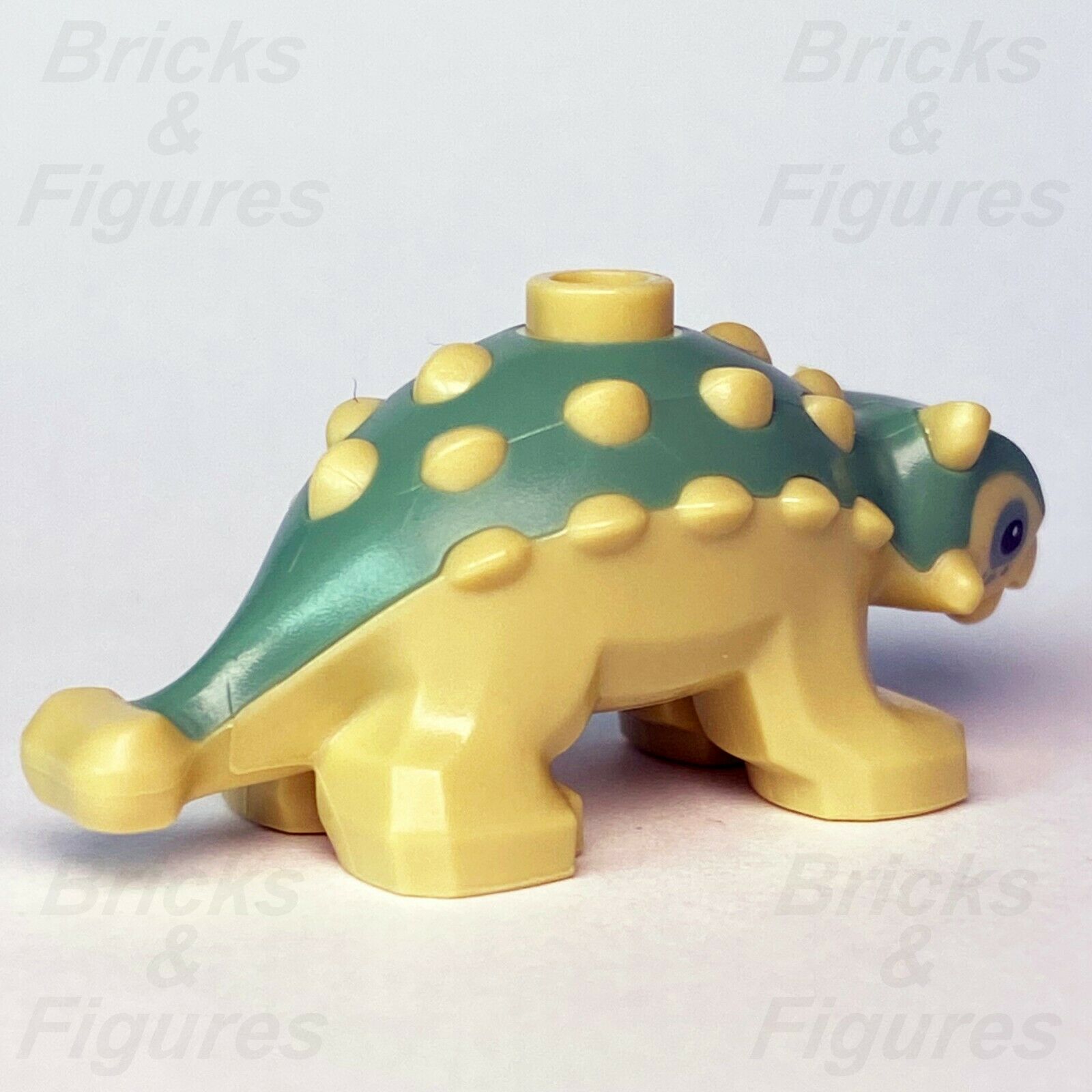 New Jurassic World LEGO Baby Ankylosaurus Dinosaur from set 75939 - Bricks & Figures