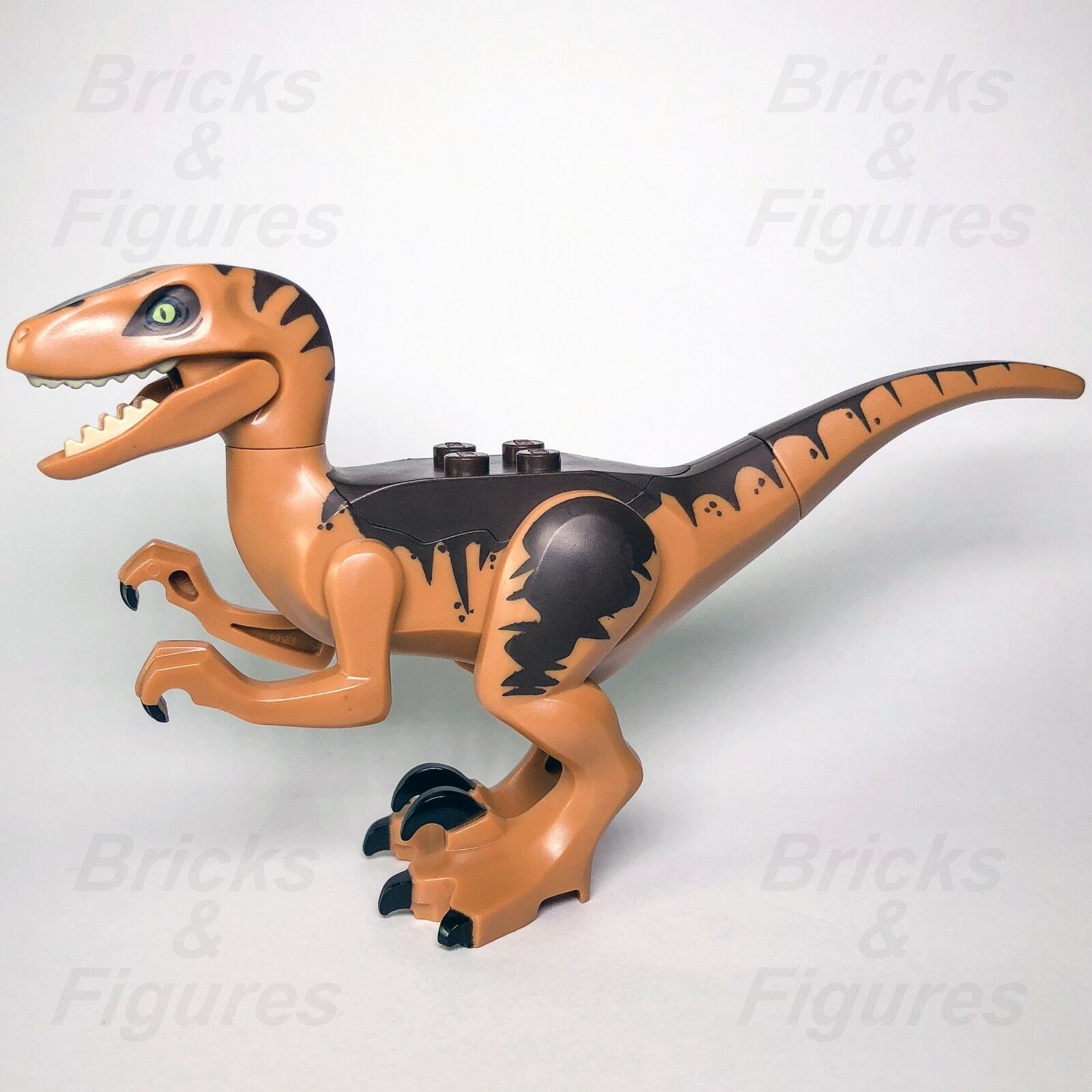New Jurassic World LEGO Dark Brown Raptor Fallen Kingdom Dinosaur 75932 - Bricks & Figures