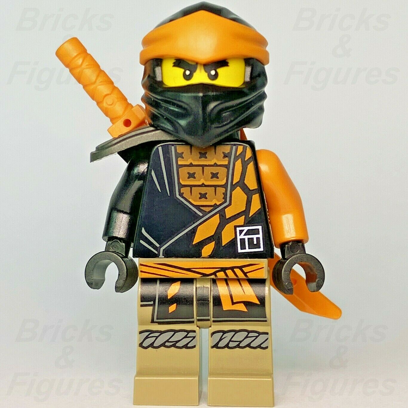 cole ninjago lego