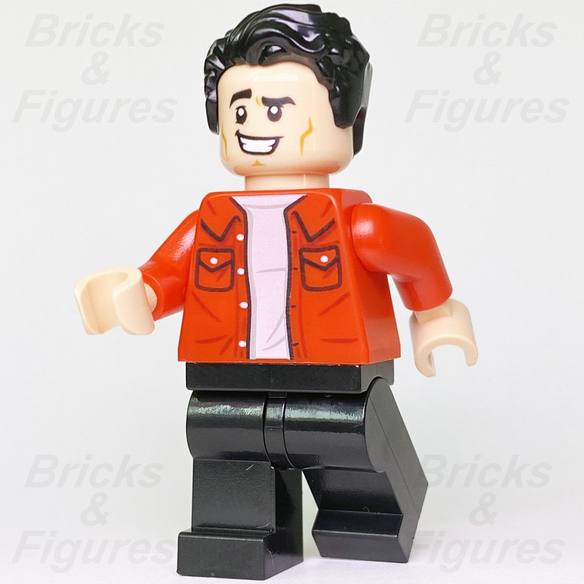 LEGO Ideas minifigures