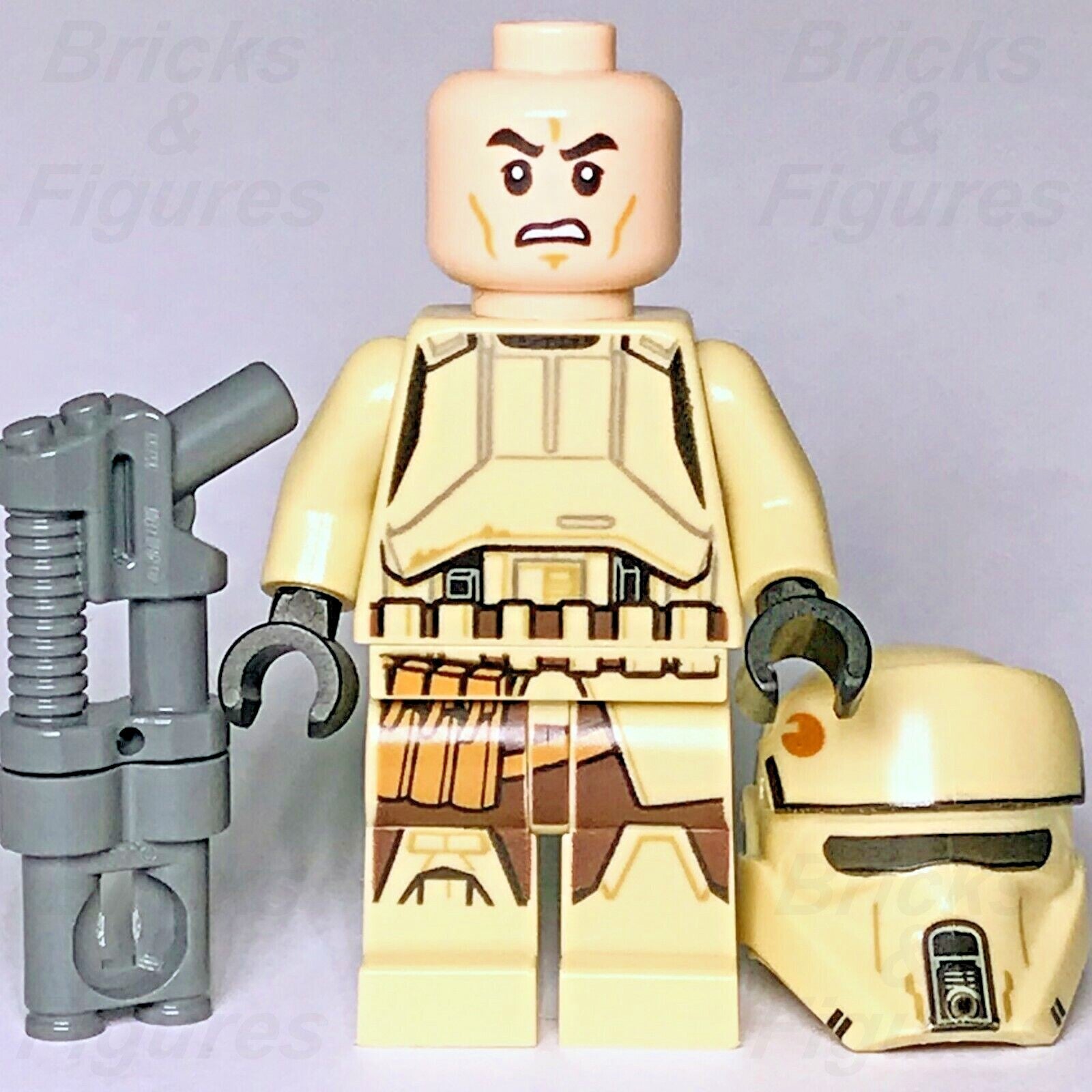 45605959