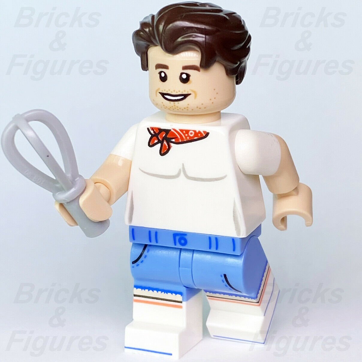 Creator Expert LEGO Antoni Porowski Queer Eye Fab 5 Minifigure 10291 que002 - Bricks & Figures