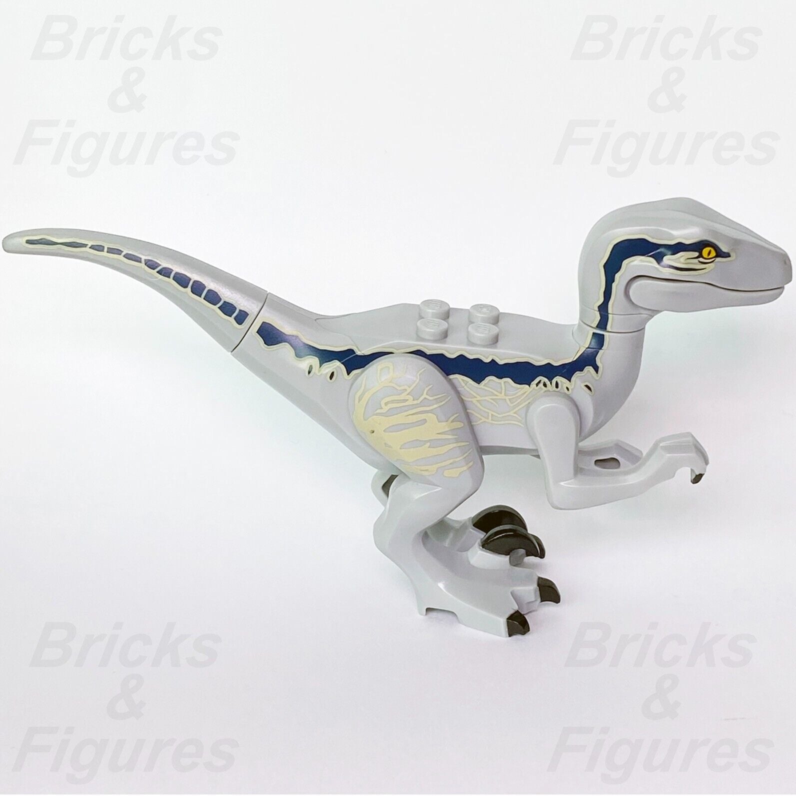 Jurassic World LEGO Raptor Blue Dinosaur Minifigure Part 76946 Raptor14 Genuine - Bricks & Figures