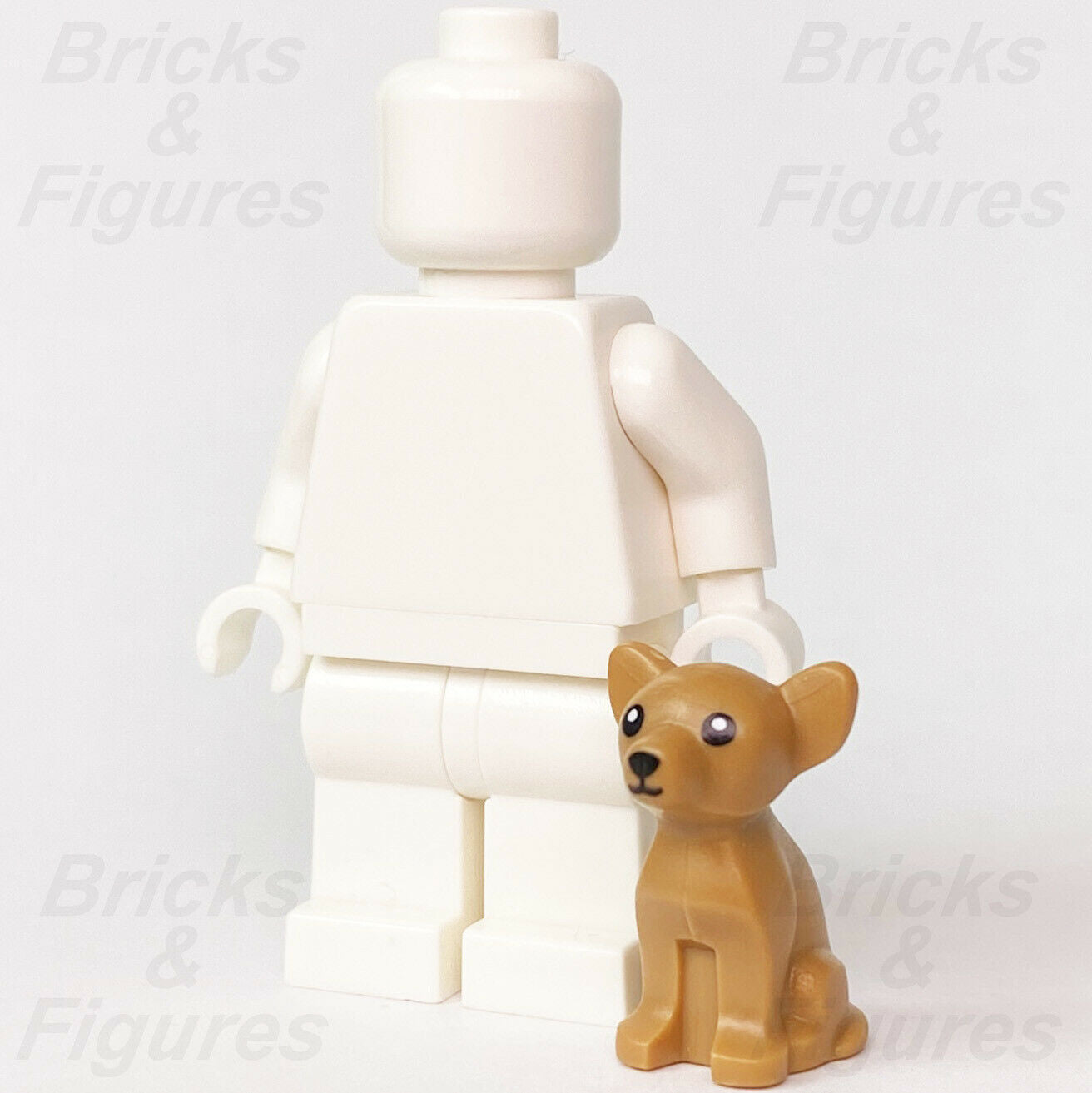New City Town LEGO Chihuahua Small Dog Animal Part 60257 10255 10677 21302 - Bricks & Figures
