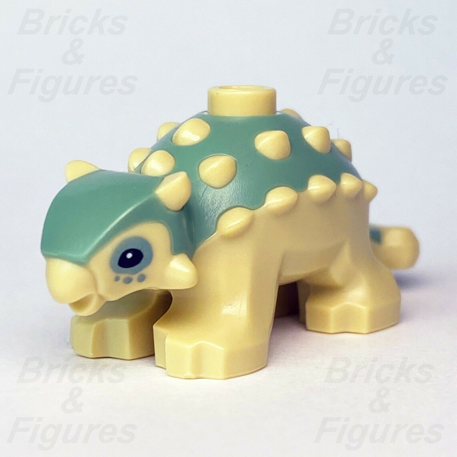 New Jurassic World LEGO Baby Ankylosaurus Dinosaur from set 75939 - Bricks & Figures