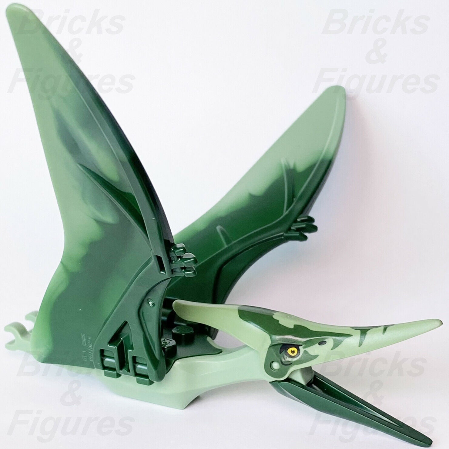 New Jurassic World LEGO Pteranodon with Dark Green Markings Dinosaur 75940 - Bricks & Figures