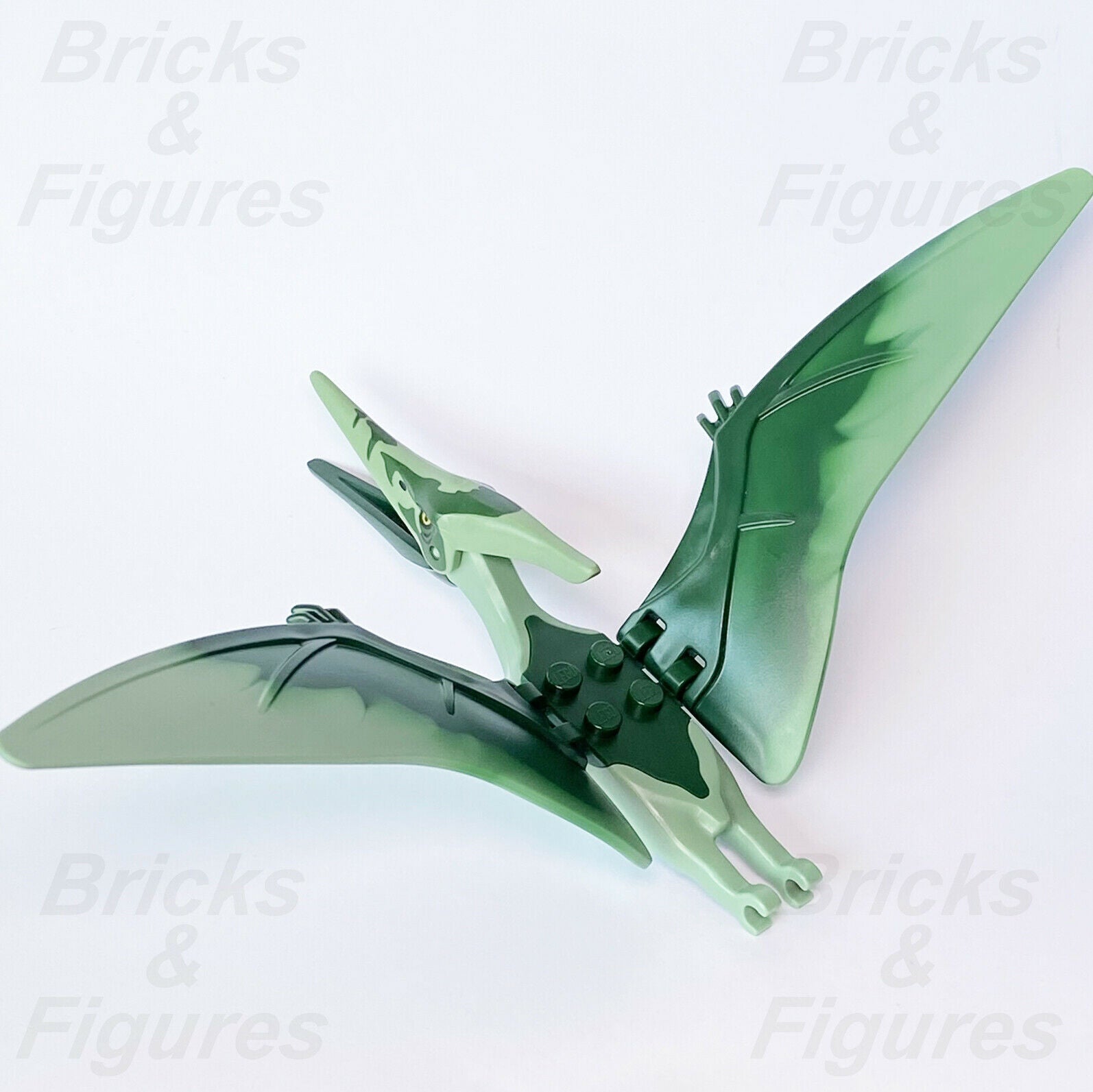New Jurassic World LEGO Pteranodon with Dark Green Markings Dinosaur 75940 - Bricks & Figures