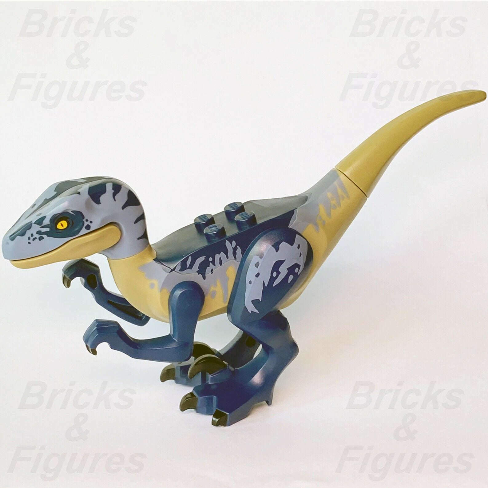 New Jurassic World LEGO Raptor Dark Blue & Sand Blue Markings Dinosaur 75942 - Bricks & Figures