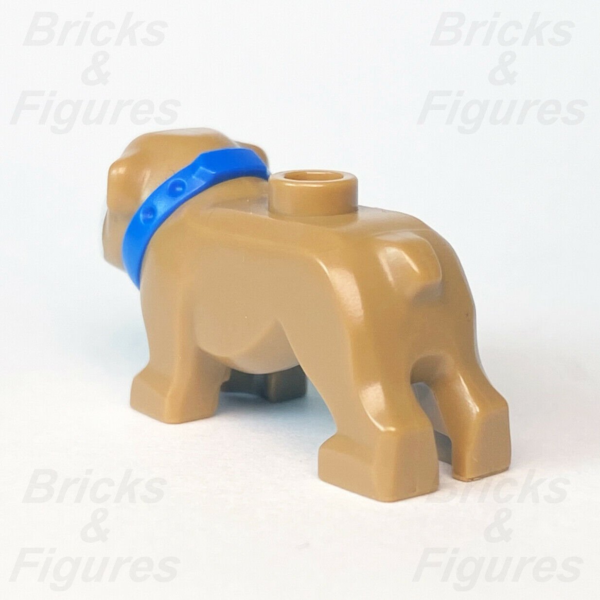 New Town & City LEGO Light Brown Bulldog Dog with Blue Collar Animal Part 60258 - Bricks & Figures