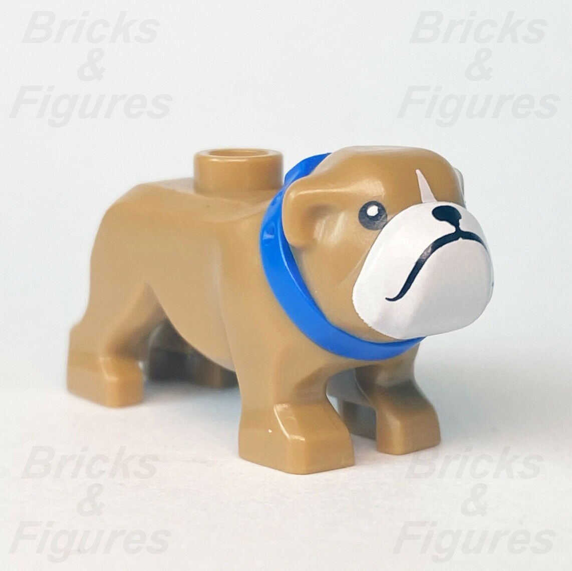 New Town & City LEGO Light Brown Bulldog Dog with Blue Collar Animal Part 60258 - Bricks & Figures