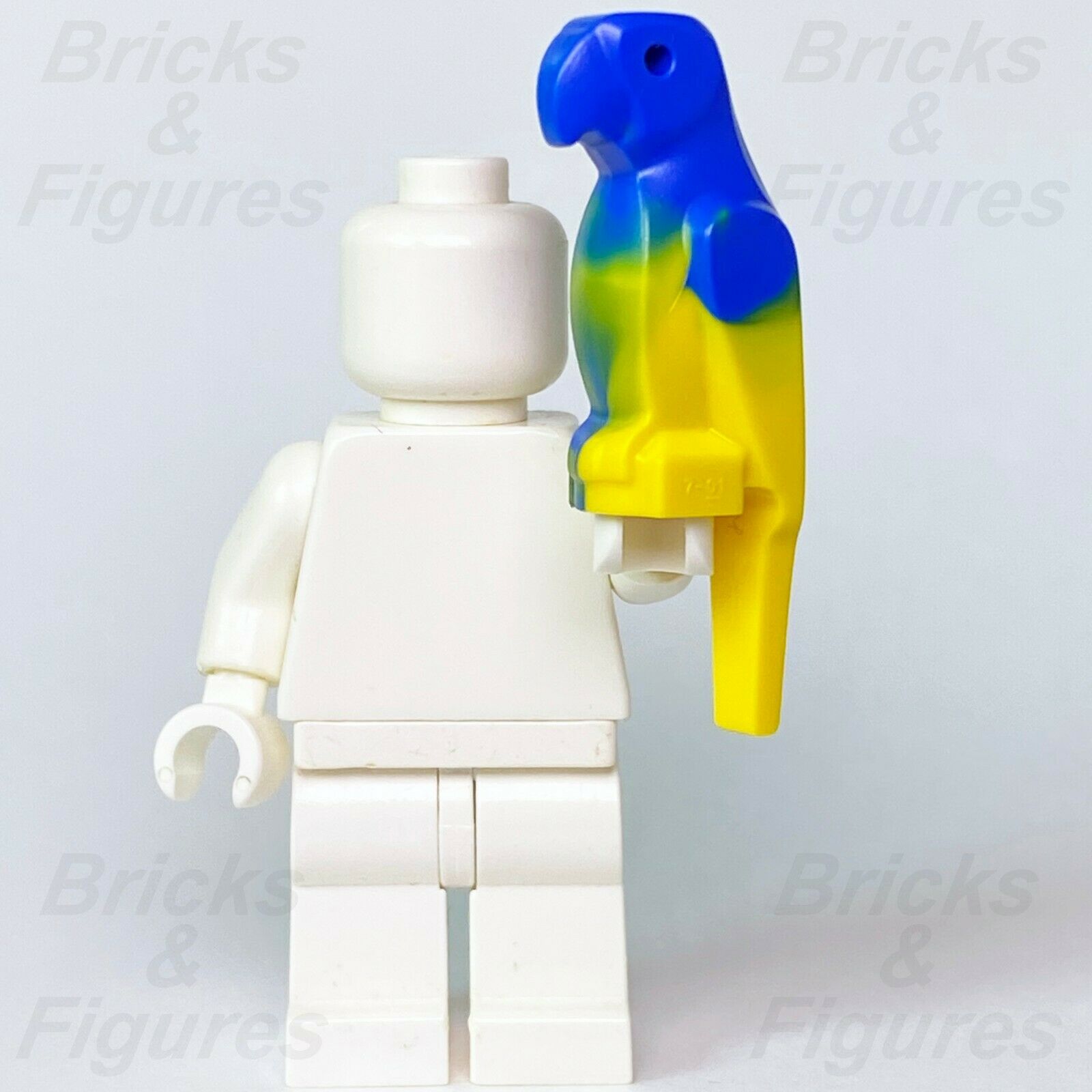 Town City Recreation LEGO® Parrot Bird Blue & Yellow Pattern 60267 21322 40346 - Bricks & Figures